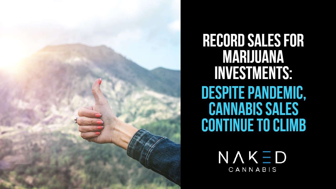 Read more about the article Record Sales for Marijuana Investments in Canada