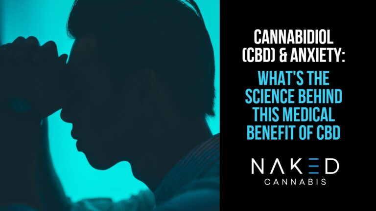 Read more about the article CBD For Anxiety: What’s the Science Behind This Therapy