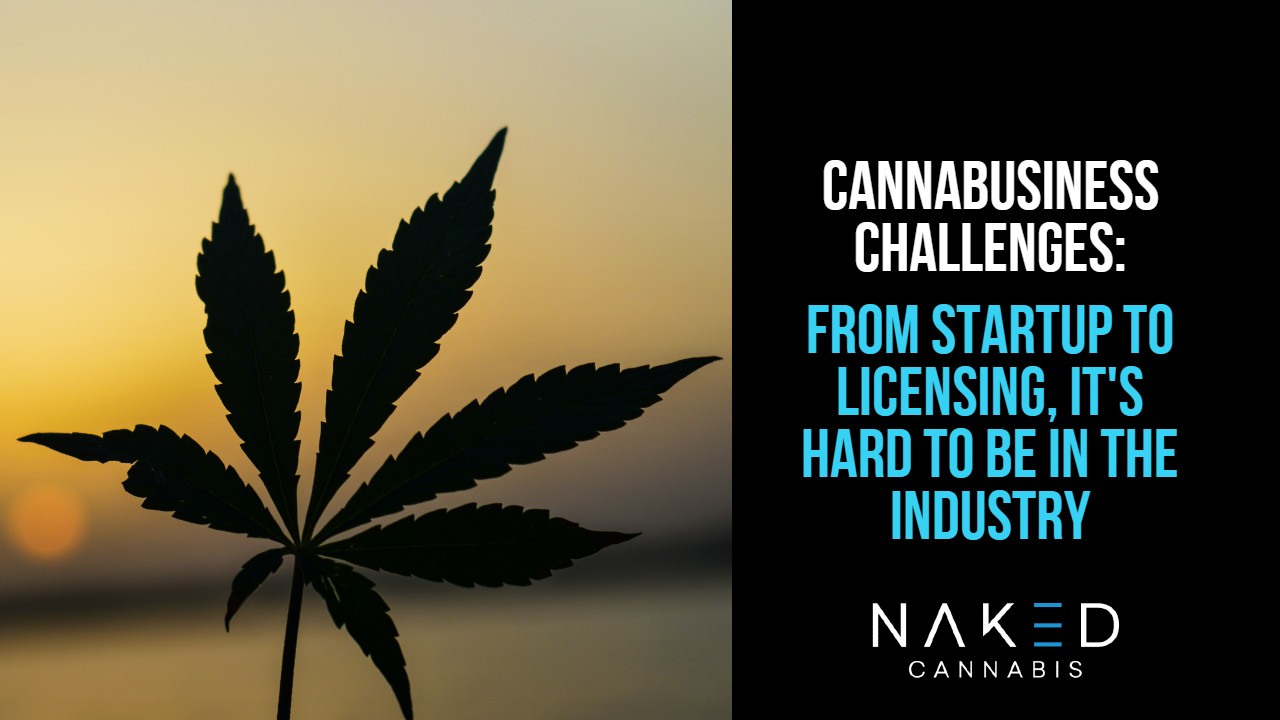 Read more about the article Cannabusiness Challenges in the Market As Industry Expands