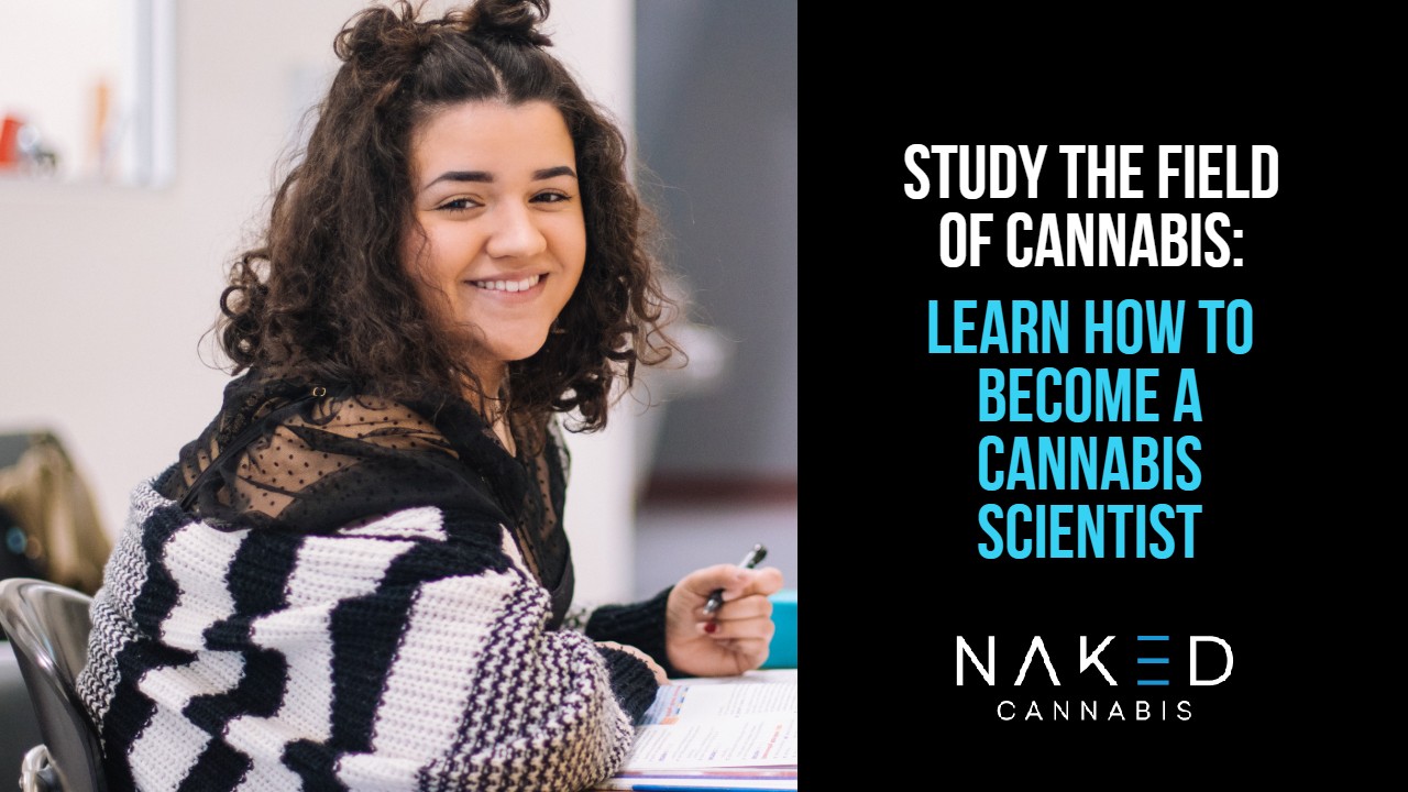 Read more about the article The Field of Cannabis: Opportunities in Higher Education