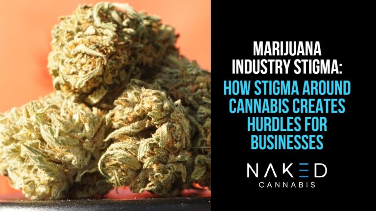 Read more about the article Cannabis Stigma Creates Challenges for the Marijuana Industry