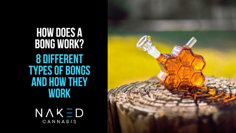 Read more about the article 8 Different Types of Bongs & How They Work