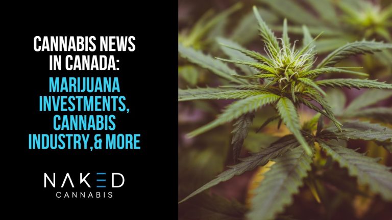 Read more about the article Cannabis News Roundup in Canada: Investments, Industry & More