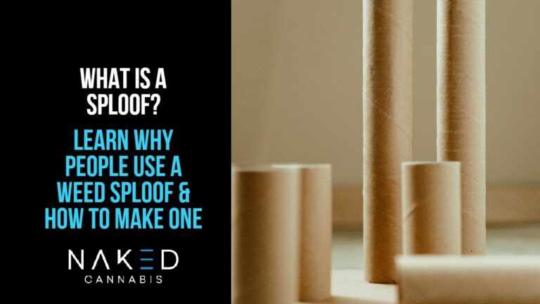 Read more about the article What Is A Sploof and How Do You Make One?