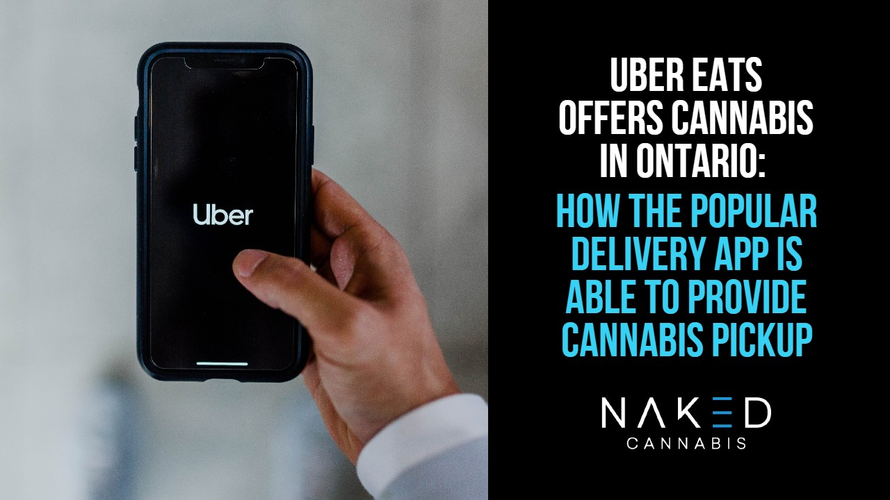 picture of cell phone up close with the Uber app opened to buy cannabis