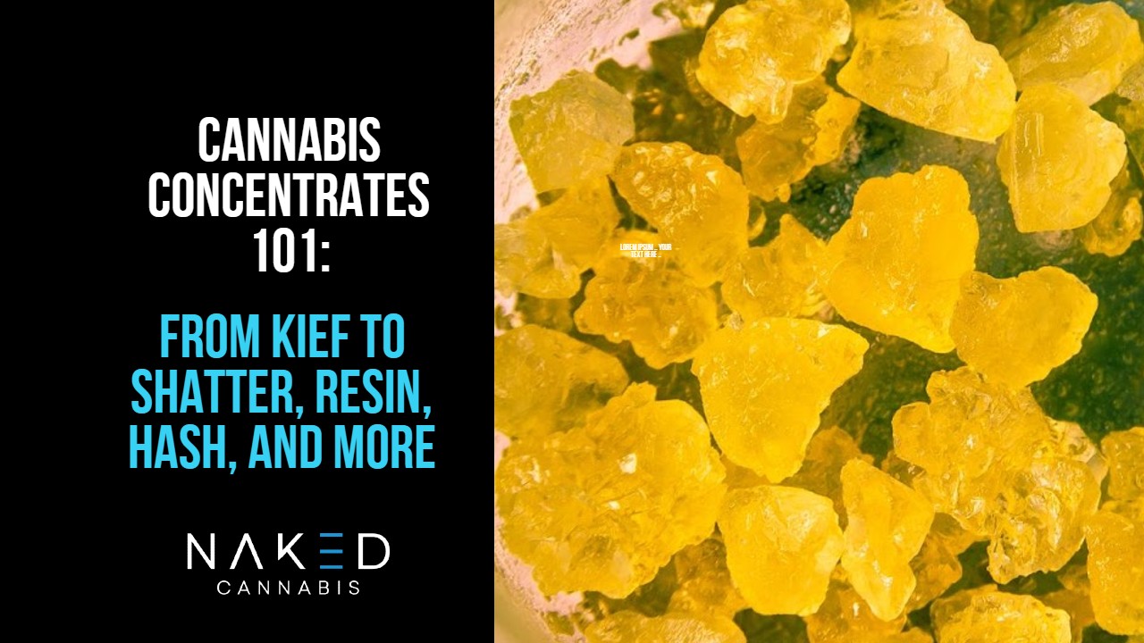 You are currently viewing Cannabis Concentrates 101: Understanding Tinctures, Shatter, & More