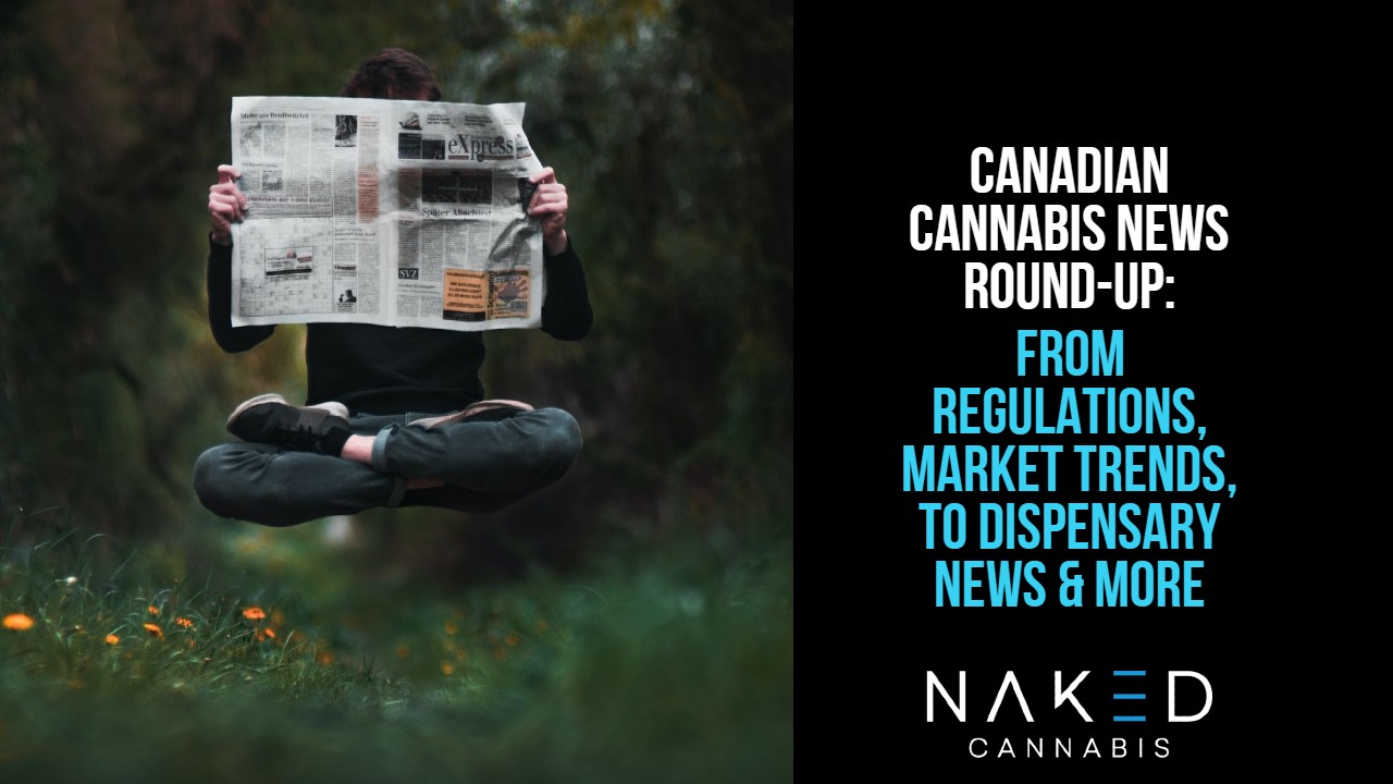 person floating holding a newspaper for Canada cannabis news roundup