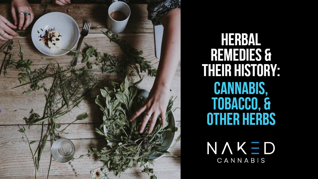 people using herbal remedies with cannabis, tobacco, flowers, other herb