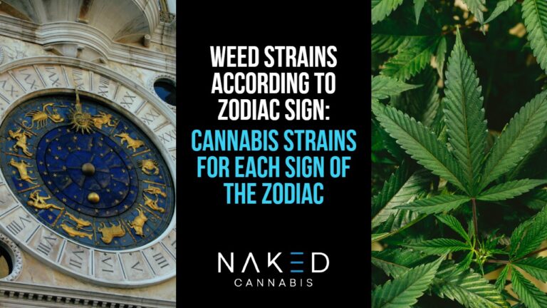 Read more about the article Let Your Zodiac Sign Help You Choose the Best Weed Strains for You