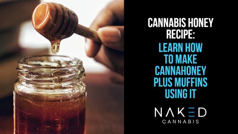 Read more about the article Cannabis Honey Recipe & Other Ideas for a Culinary High