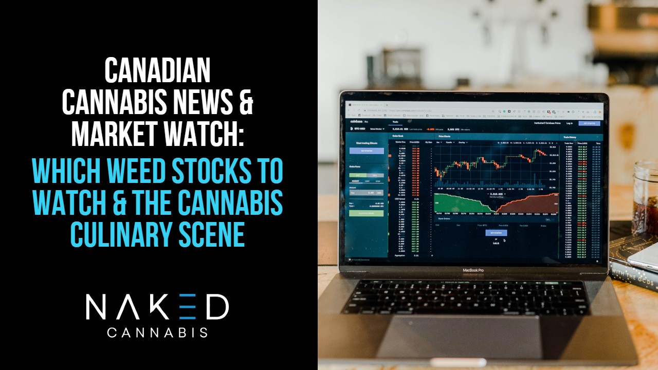 picture of computer screen showing Canada weed stocks rising