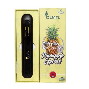 Burn 2mL Disposable Vapes – Pineapple Express THC Distillate