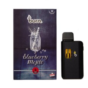 Burn 3mL Disposable Vapes – Blueberry Mojito THC Distillate