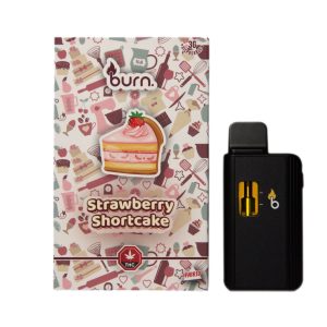 Burn 3mL Disposable Vapes – Strawberry Shortcake THC Distillate