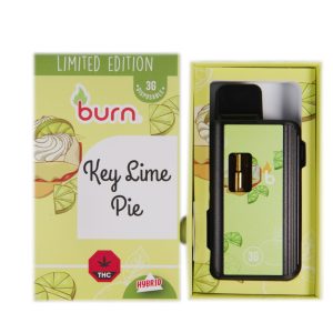 Burn 3mL Disposable Vapes – Key Lime Pie THC Distillate