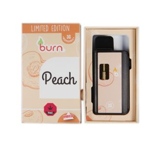 Burn 3mL Disposable Vapes – Peach THC Distillate