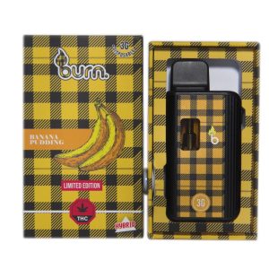 Burn 3mL Disposable Vapes – Banana Pudding THC Distillate