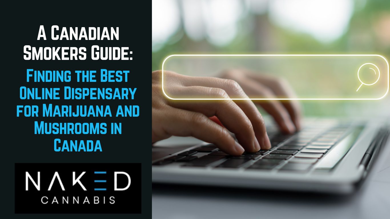 Read more about the article A Canadian Smokers Guide: Finding the Best Online Dispensary for Marijuana and Mushrooms in Canada