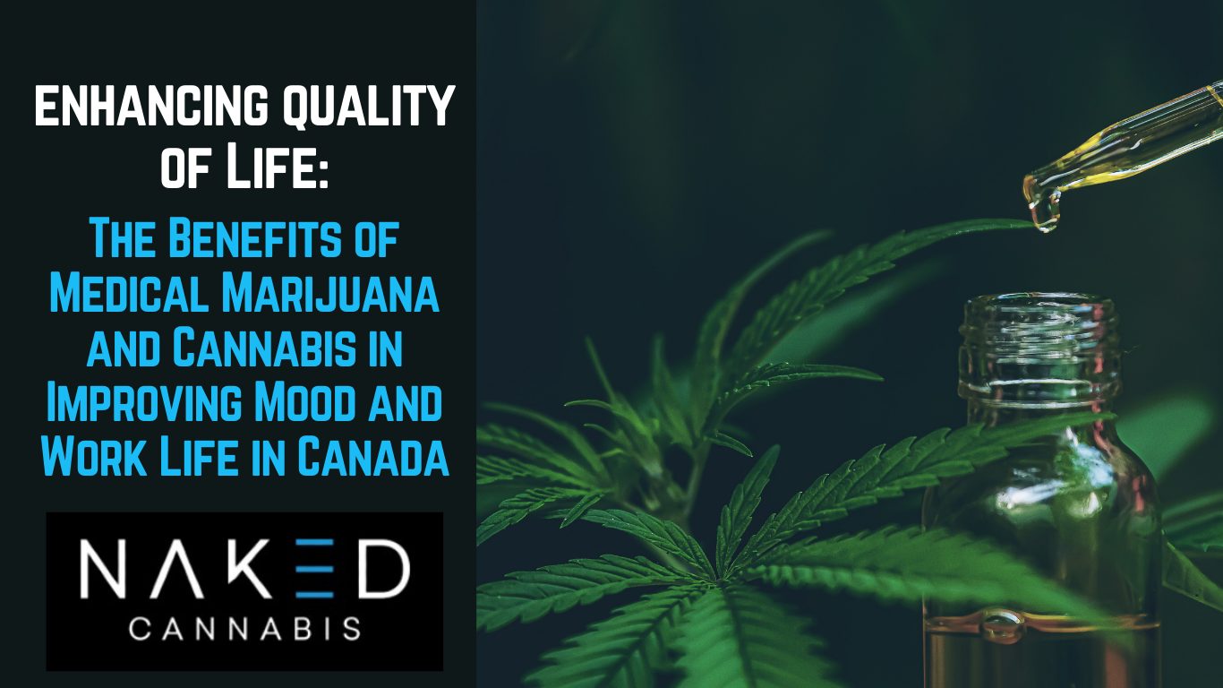 Read more about the article Enhancing Quality of Life: The Benefits of Medical Marijuana and Cannabis in Improving Mood and Work Life in Canada