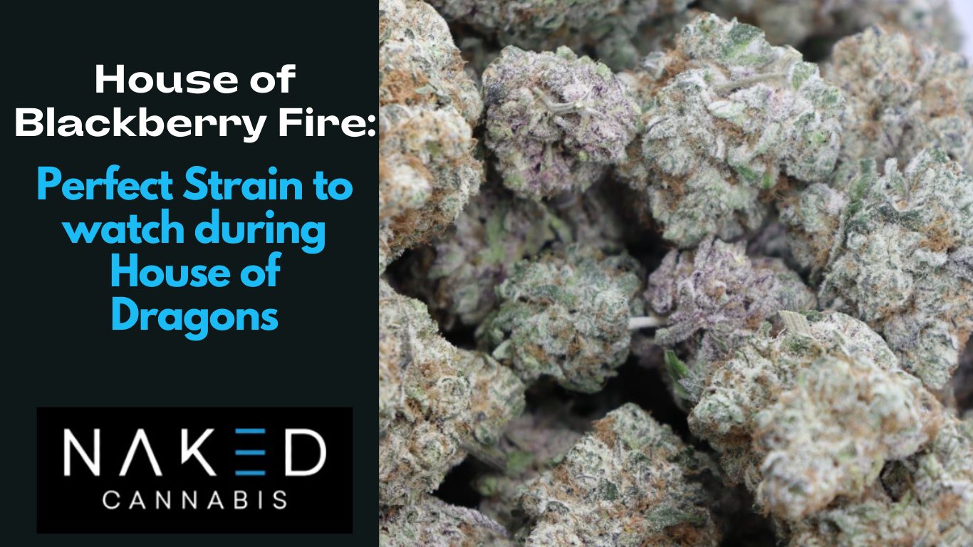 House Of Blackberry Fire Perfect Strain To Watch During House Of Dragons Naked Canada