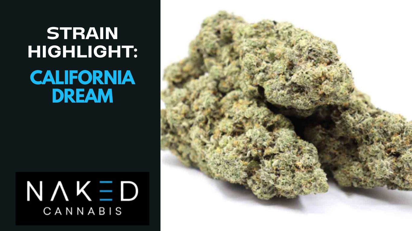 Read more about the article Strain Highlight: California Dream