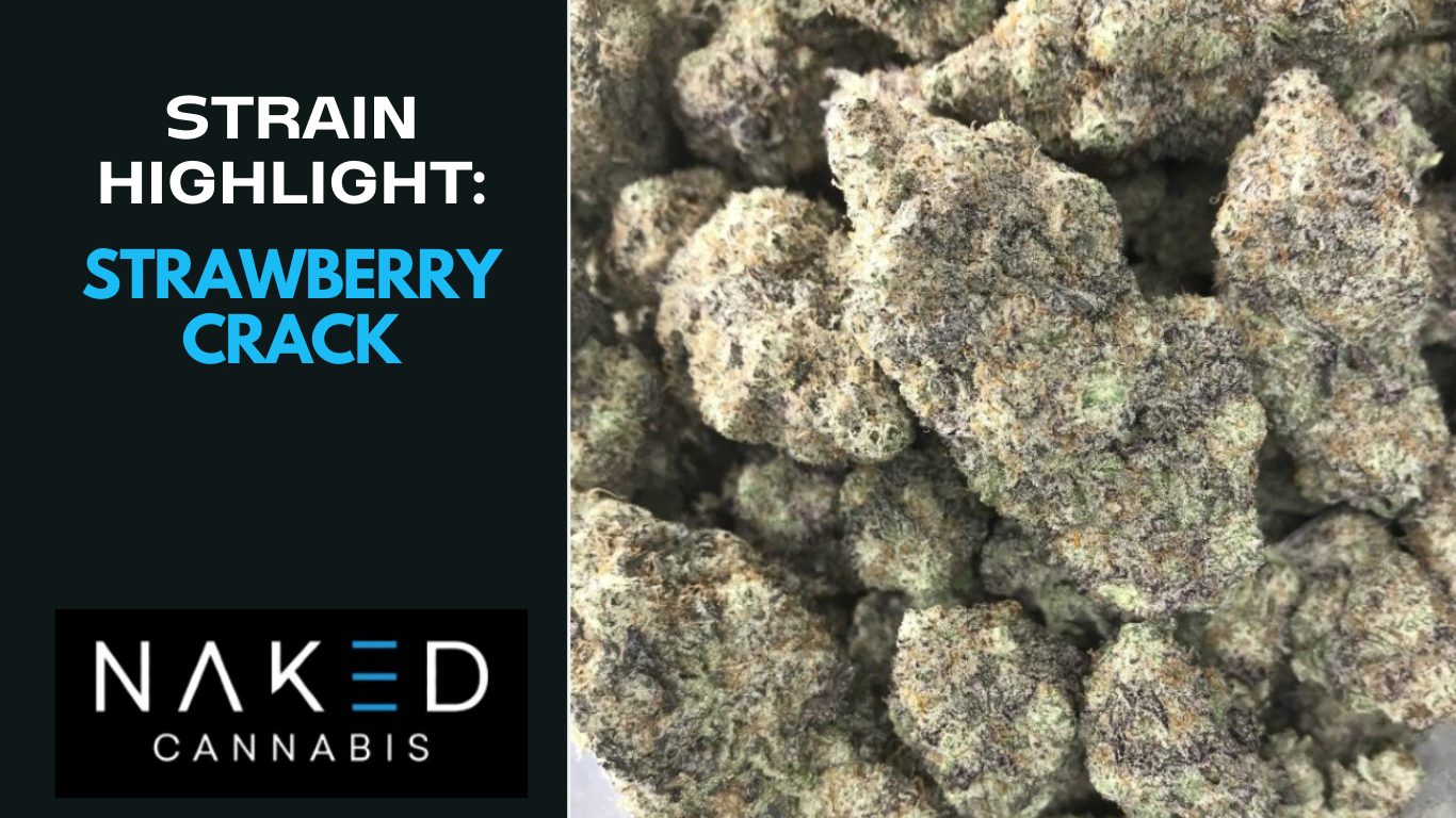 Read more about the article Strain Highlight: Strawberry Crack