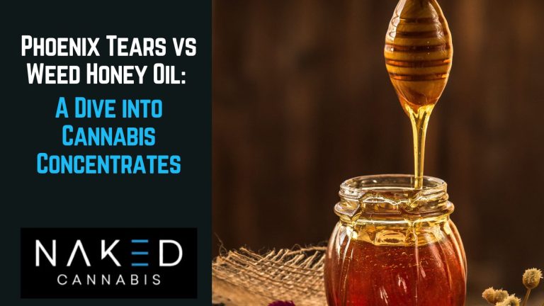 Read more about the article Phoenix Tears vs. Weed Honey Oil: A Dive into Cannabis Concentrates