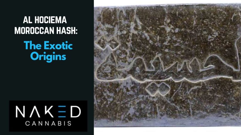 Read more about the article Al Hociema Moroccan Hash: The Exotic Origins