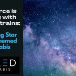 The Force is Strong with These Strains: Exploring Star Wars-Themed Cannabis