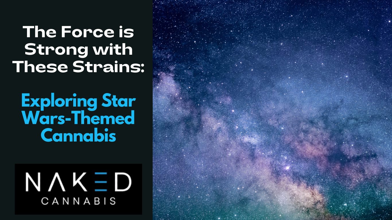 Read more about the article The Force is Strong with These Strains: Exploring Star Wars-Themed Cannabis