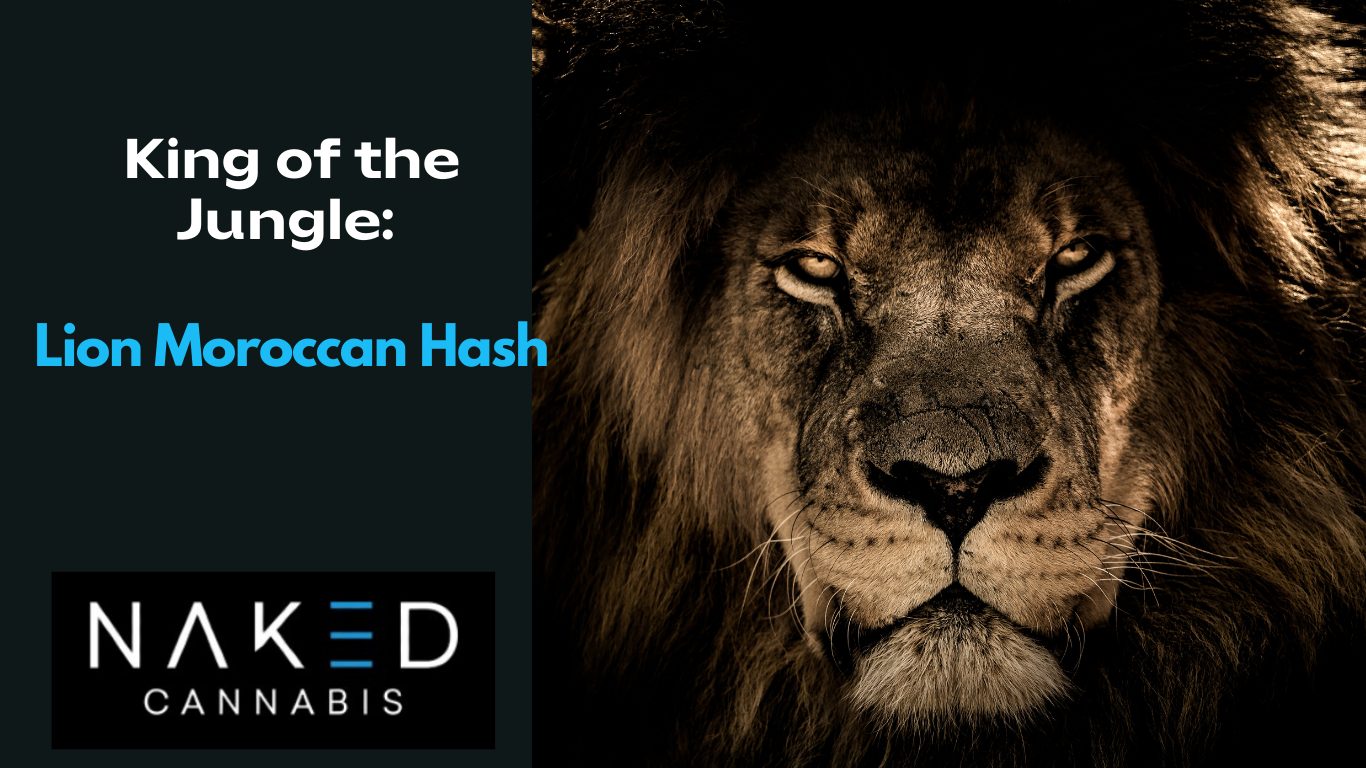 You are currently viewing Discover the Magic of Lion Moroccan Hash – A Journey in Every Puff!