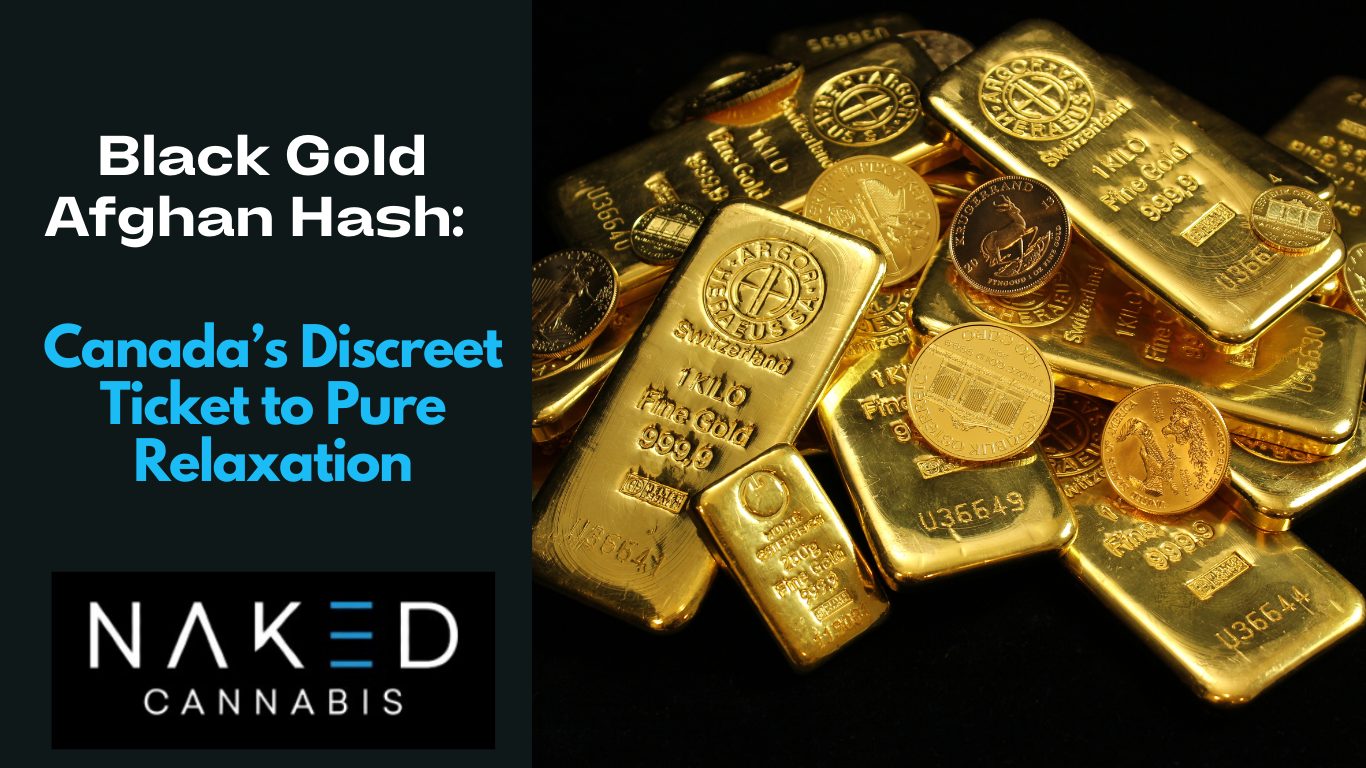 You are currently viewing Black Gold Afghan Hash: Canada’s Discreet Ticket to Pure Relaxation