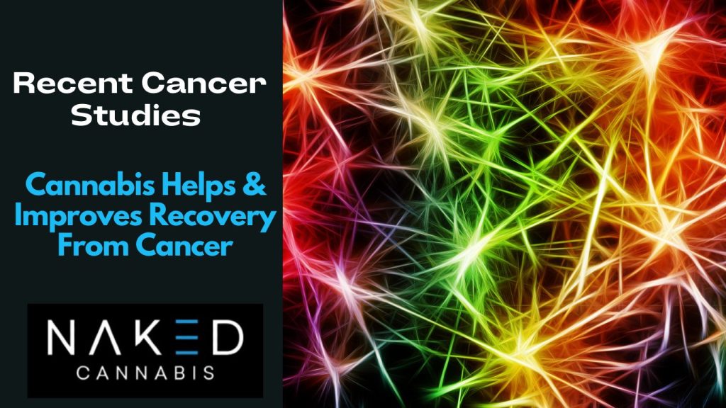 Recent Studies 2024: Cannabis Helps & Improves Recovery From Cancer