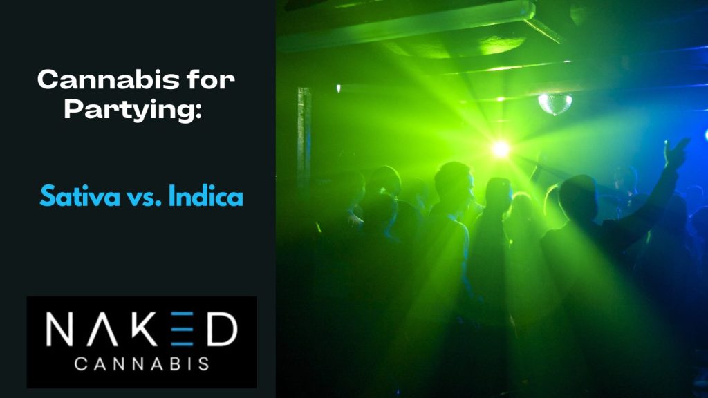 Cannabis for Partying: Indica vs. Sativa for Club Nights