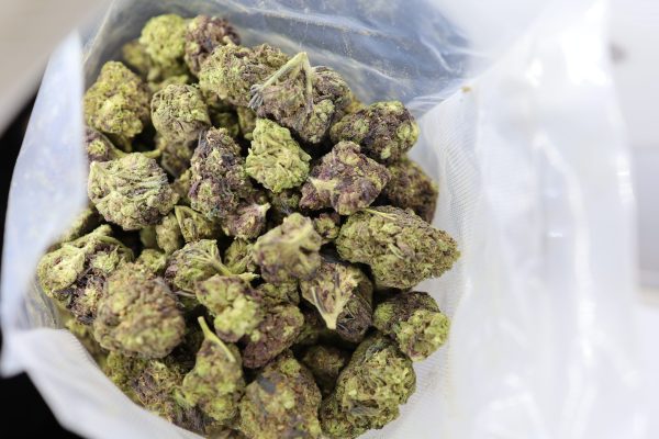 GMO Cookies - ($.$) - Image 2