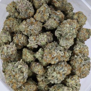 Apollo 11 – ($.$.$.$)