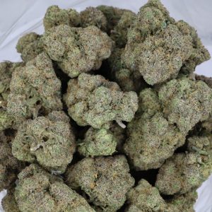 Neon Rainbowz – ($.$.$)