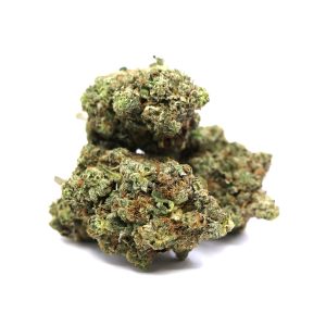 Death Bubba – ($.$.$)