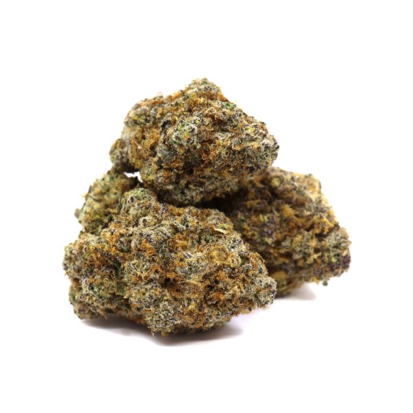 Orange Gatorade - ($.$.$.$)