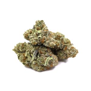 Pineapple Phantom – ($.$.$.$)