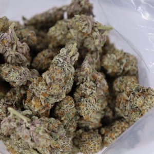 Alien Diesel – ($.$.$.$)