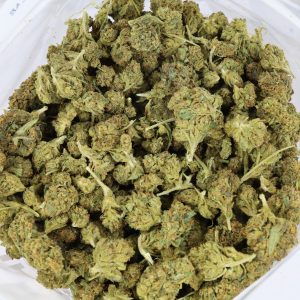 Cookie Glue – ($.$)