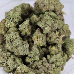 Death Bubba – ($.$.$)