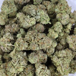 White Truffle – ($.$)