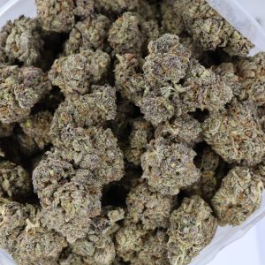 White Truffle – ($.$)