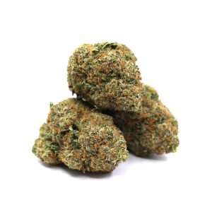 Northern Lights – ($.$)
