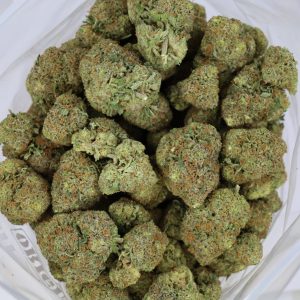 Northern Lights – ($.$)