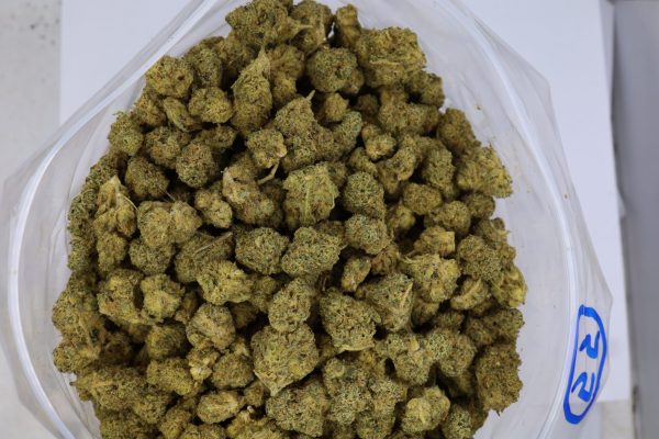 Sour Headband - ($.$) - Image 2