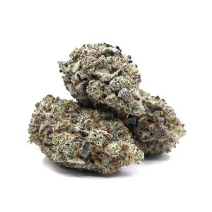 7 Ghosts – ($.$.$.$)