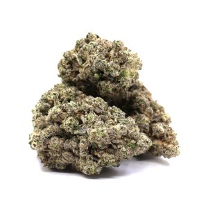 Jungle Fire - ($.$.$.$) - 14 Grams